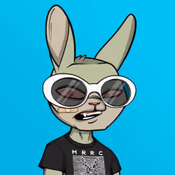 Mad Rabbit #2568