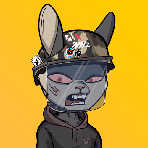 Madrabbitsriotclub