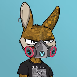 Mad Rabbit #2977