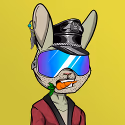 Mad Rabbit #0838