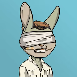 Mad Rabbit #4880
