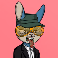 Mad Rabbit #5556
