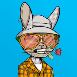 Mad Rabbit #0024