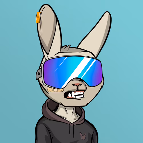 Madrabbitsriotclub
