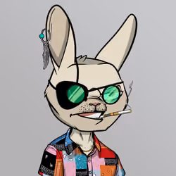 Mad Rabbit #2682