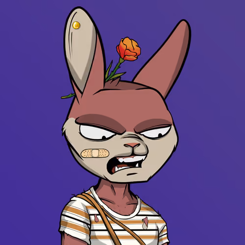 Mad Rabbit #6855