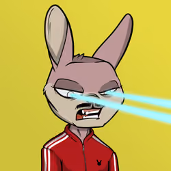Mad Rabbit #2570