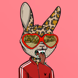 Mad Rabbit #3874