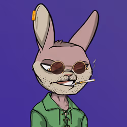 Mad Rabbit #5440