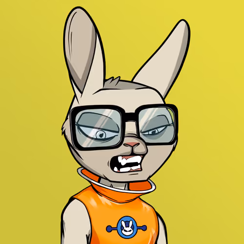 Mad Rabbit #5829