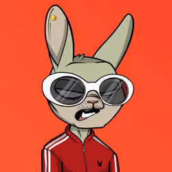 Mad Rabbit #2904