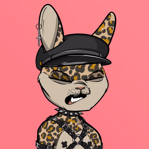 Mad Rabbit #5735