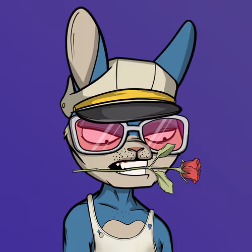 Madrabbitsriotclub