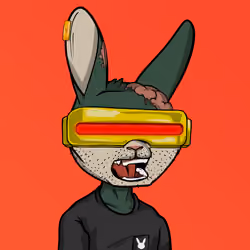 Mad Rabbit #0278