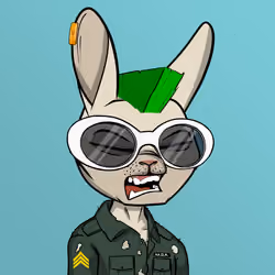Mad Rabbit #1211