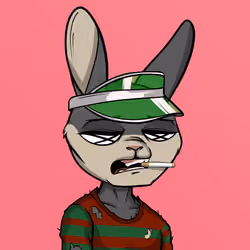 Mad Rabbit #2560