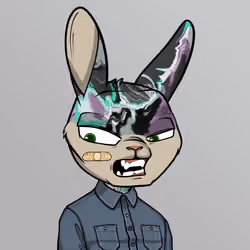 Mad Rabbit #4951