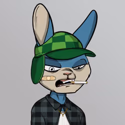 Mad Rabbit #5631
