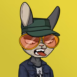 Mad Rabbit #5586