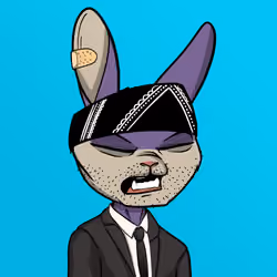 Mad Rabbit #6249