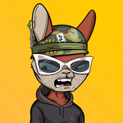 Mad Rabbit #6504