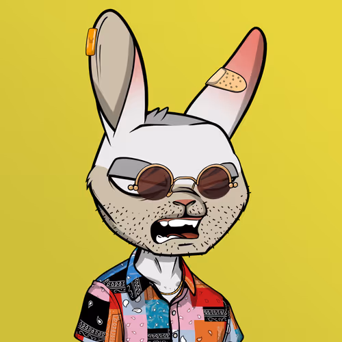 Madrabbitsriotclub