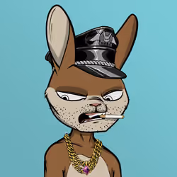 Mad Rabbit #1765