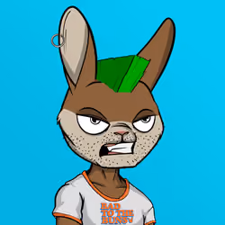 Mad Rabbit #2516