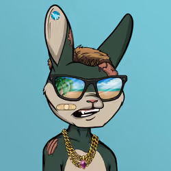 Mad Rabbit #5254