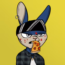 Mad Rabbit #3731