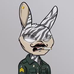 Mad Rabbit #5871