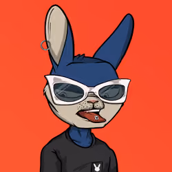 Mad Rabbit #3887