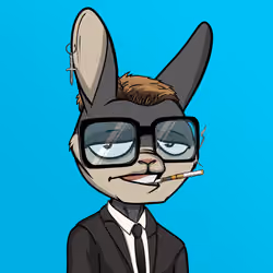 Mad Rabbit #5382