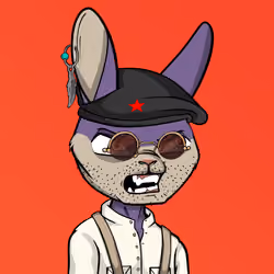 Mad Rabbit #3467