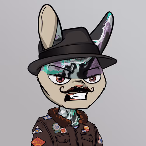 Madrabbitsriotclub