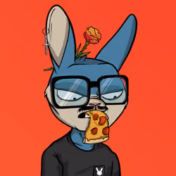 Mad Rabbit #1124