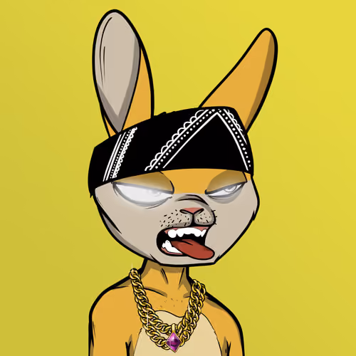 Mad Rabbit #2684