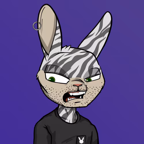 Mad Rabbit #1244