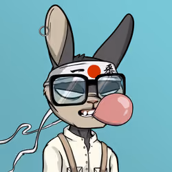 Mad Rabbit #4952