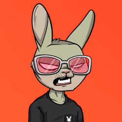 Mad Rabbit #4173