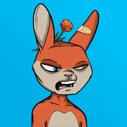 Mad Rabbit #0143