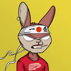 Mad Rabbit #3045