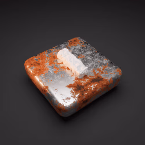 Item #907 Media