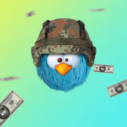 184
