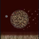 620