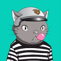 Kitaro Yacht Club #1191