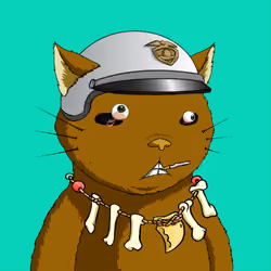 Kitaro Yacht Club #7741