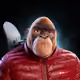 8048