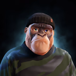 6253