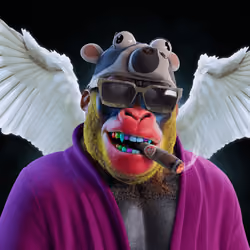 9206
